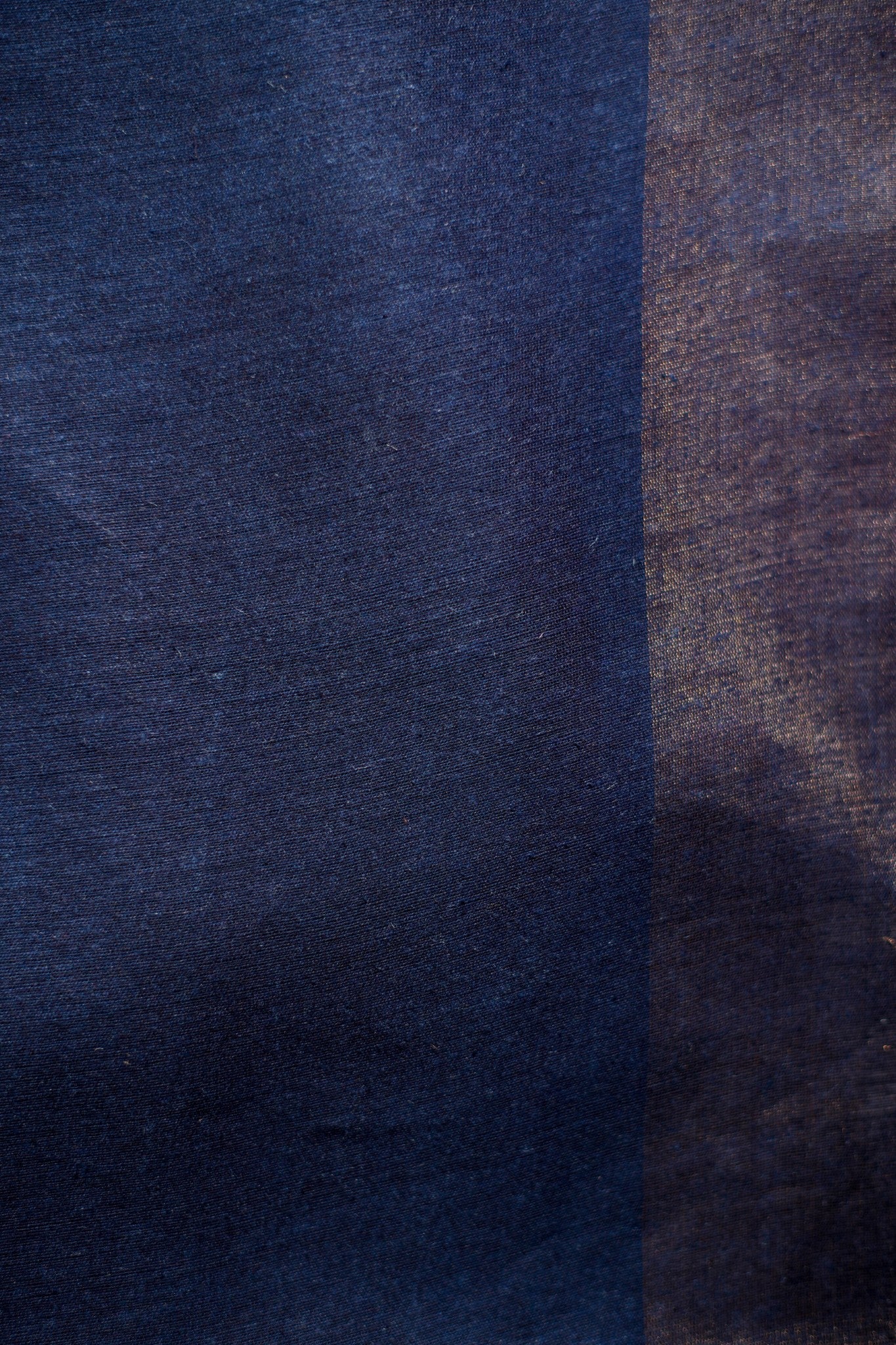 Charulata Saree