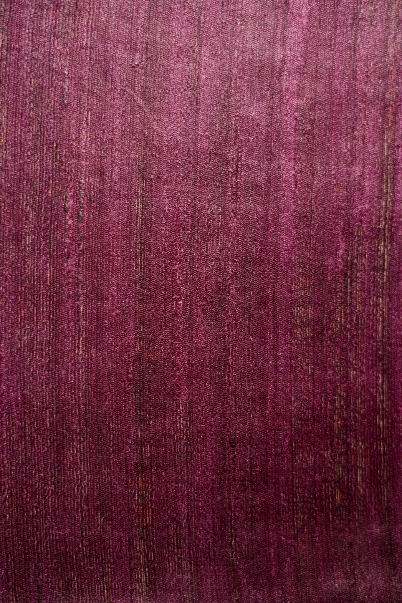 Albeli Saree