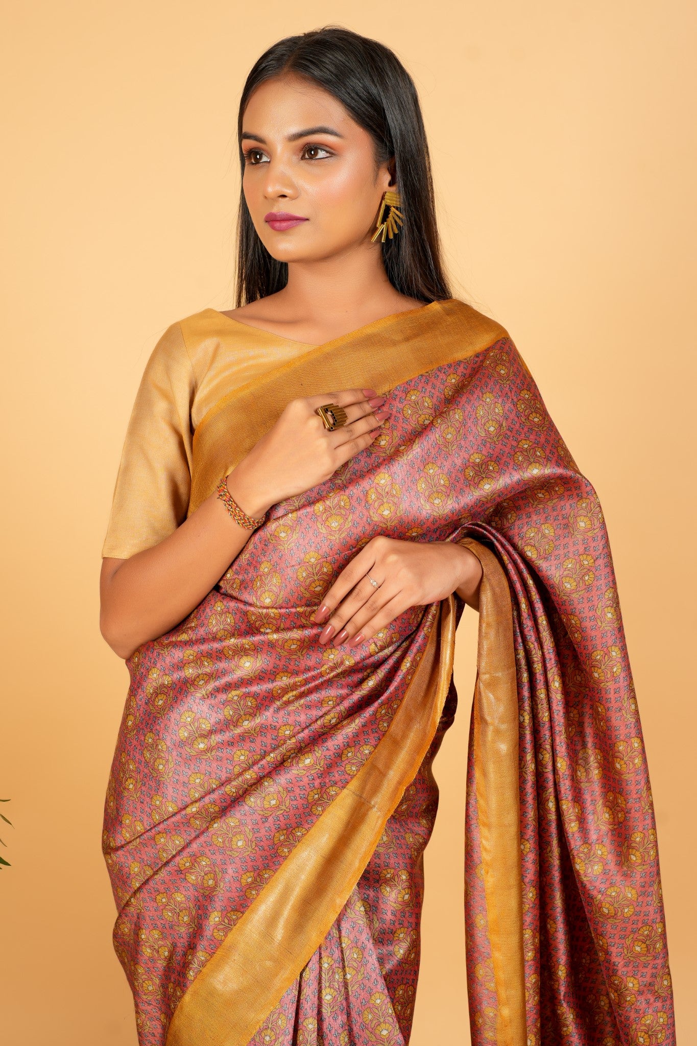 Dilruba Saree