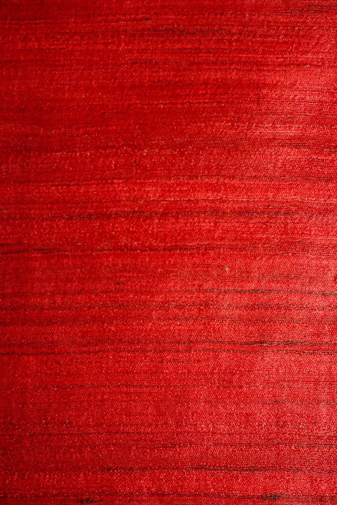 Zoya Saree
