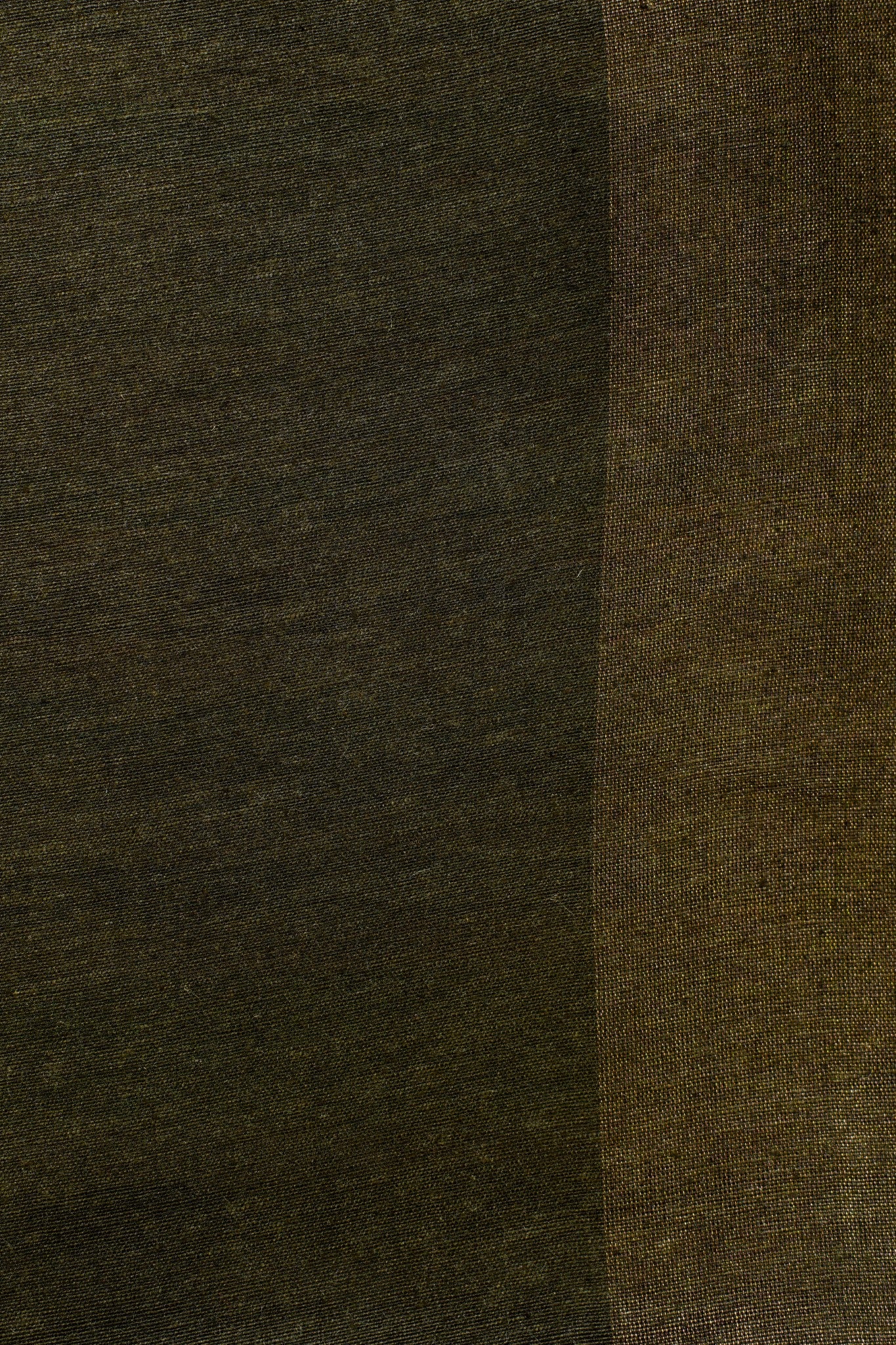 Shambhavi Saree
