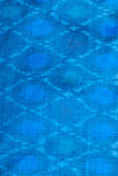 Light Blue Patola Silk Fabric