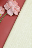 Cream Munga silk  Fabric
