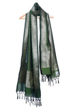 Forest pine