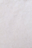 White PS Silk Fabric
